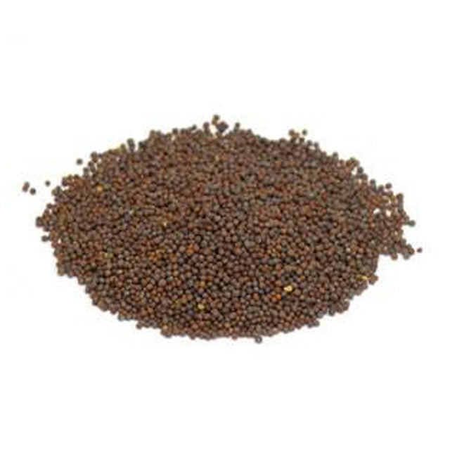Black Mustard Seed Herb 1 oz - The Luciferian Apotheca 